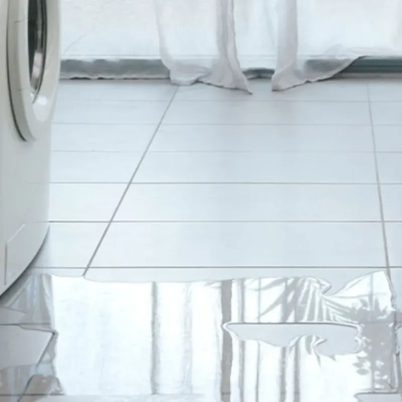 Appliance Leak Cleanup in Holden, ME