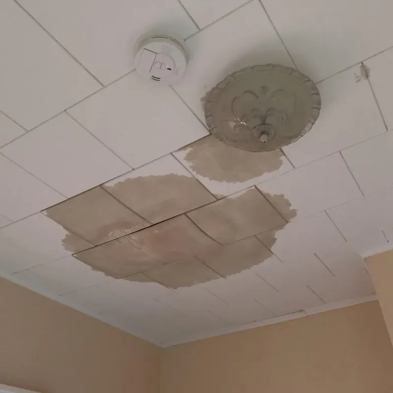 Ceiling Water Damage Repair in Holden, ME