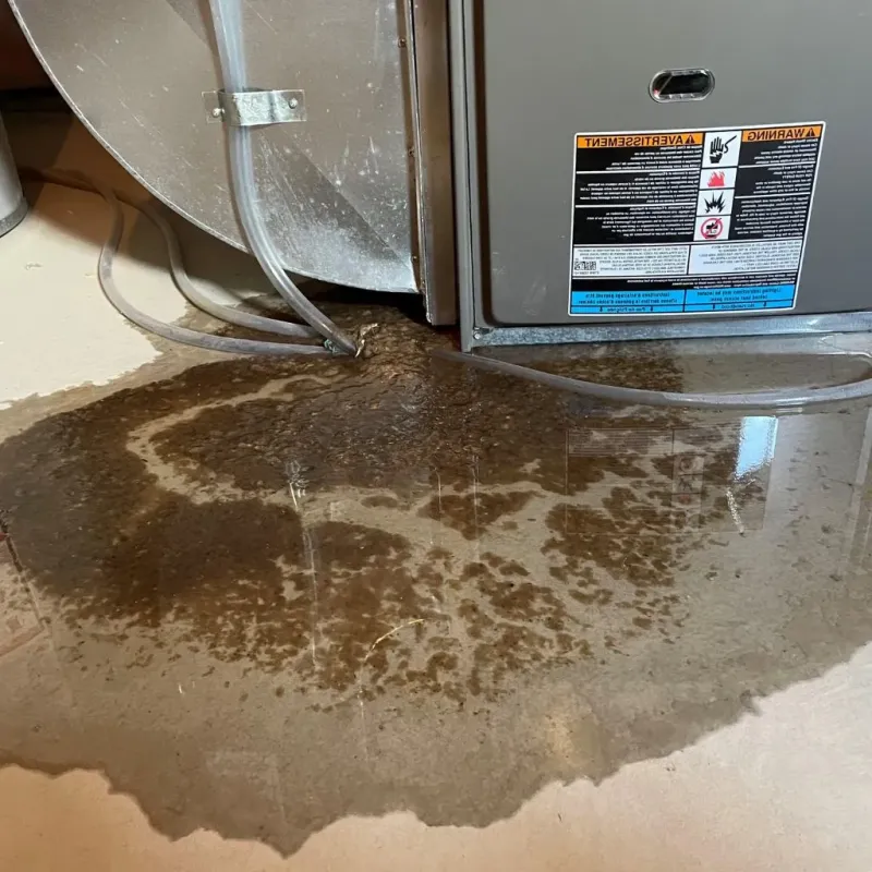 Pipe Burst and Leak Restoration in Holden, ME
